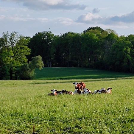 Le Chalard Domaine Du Castellare Bed & Breakfast エクステリア 写真