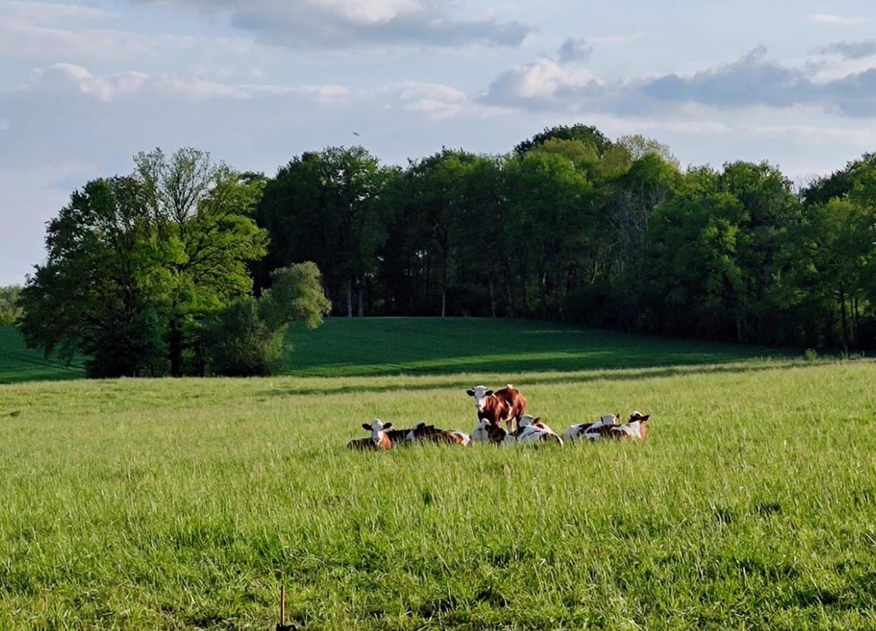 Le Chalard Domaine Du Castellare Bed & Breakfast エクステリア 写真